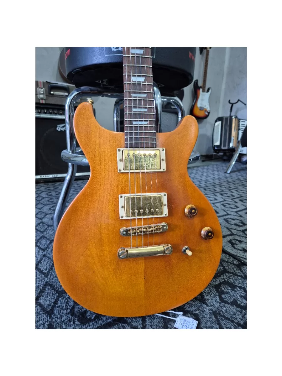 Guitarra Gibson Les Paul standard double cut