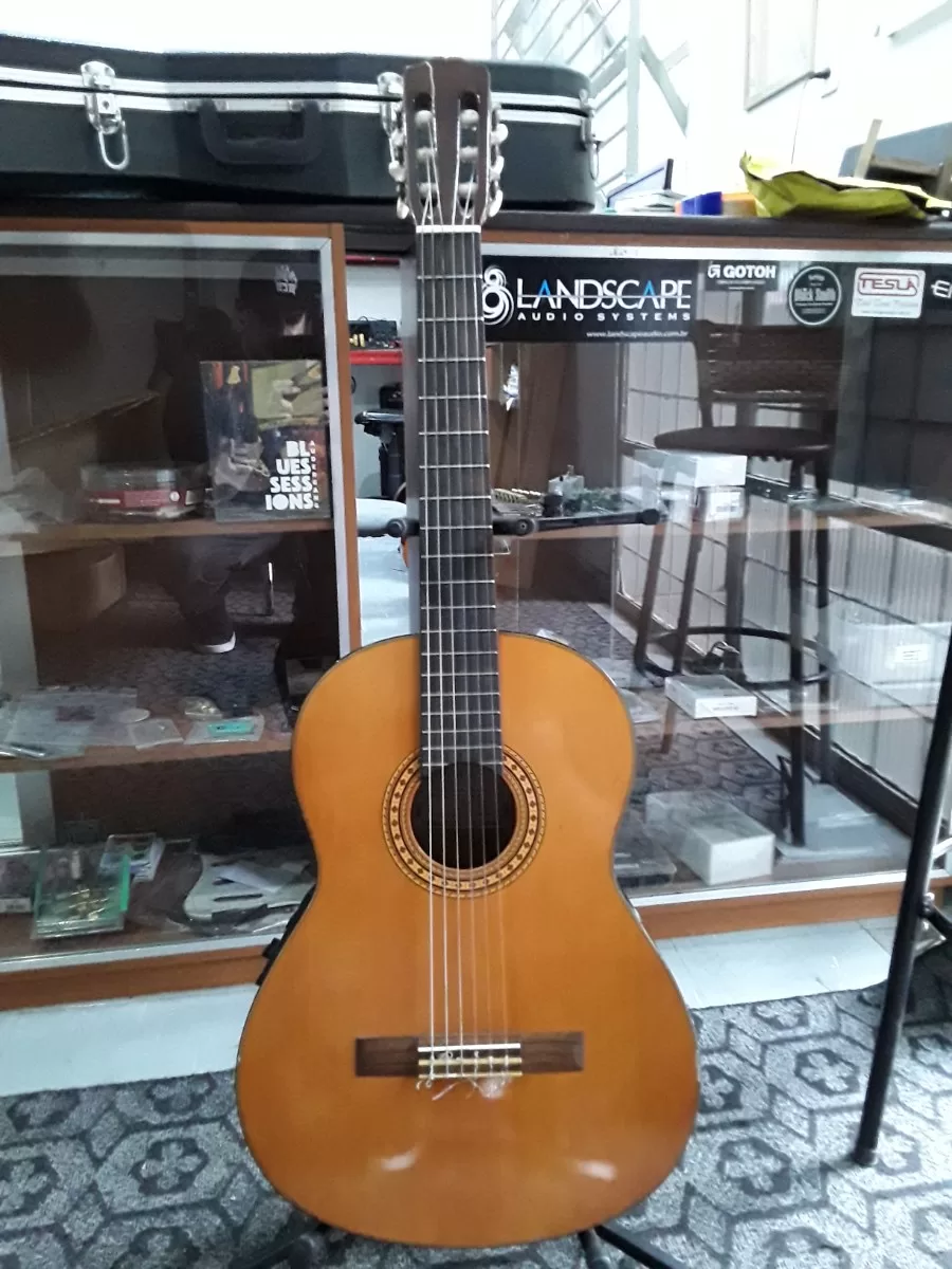 Violão Takamine C116